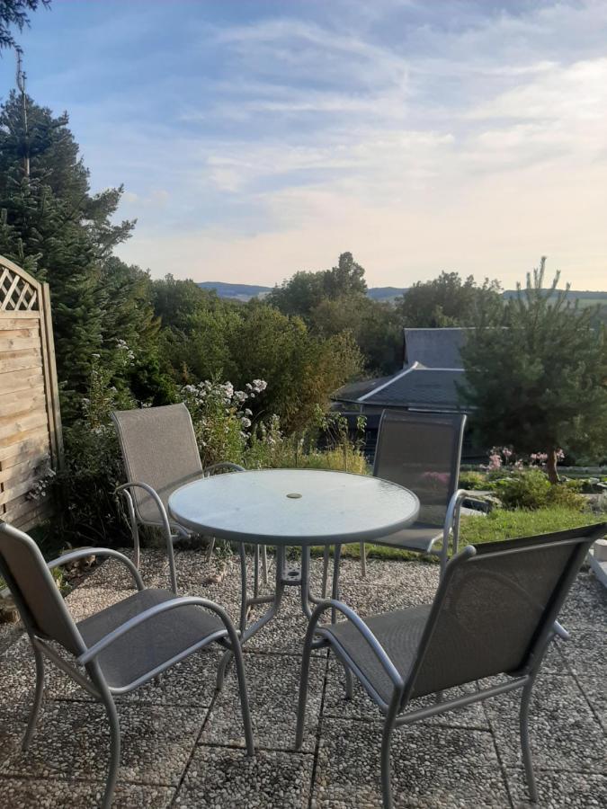 Haus Mit Ausblick 3 Schlafzimmer Wilkau-Hasslau Екстериор снимка